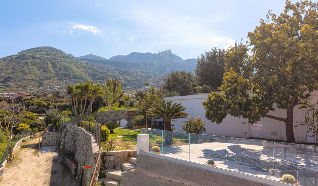 Casa Yucca Villa Forio di Ischia Екстериор снимка