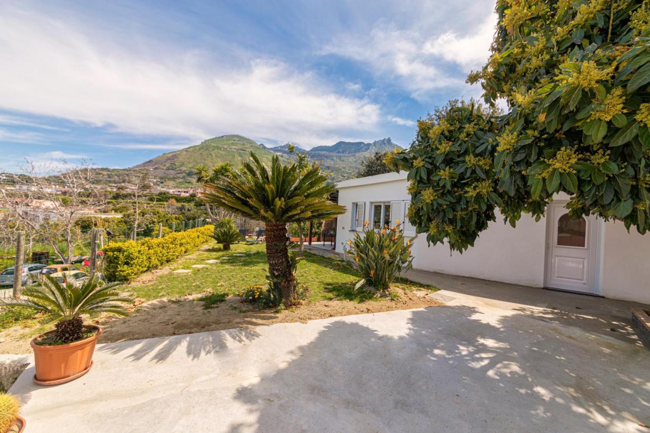 Casa Yucca Villa Forio di Ischia Екстериор снимка