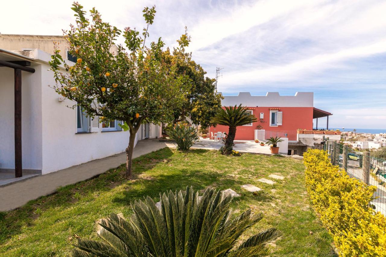 Casa Yucca Villa Forio di Ischia Екстериор снимка