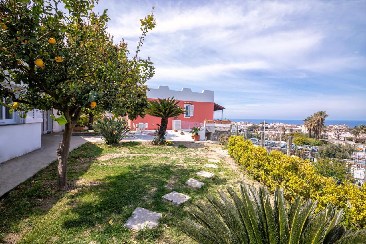 Casa Yucca Villa Forio di Ischia Екстериор снимка