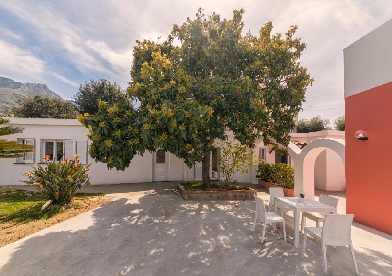 Casa Yucca Villa Forio di Ischia Екстериор снимка